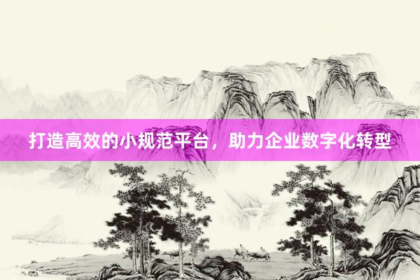 打造高效的小规范平台，助力企业数字化转型